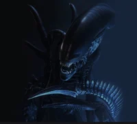 XenomorPhs 