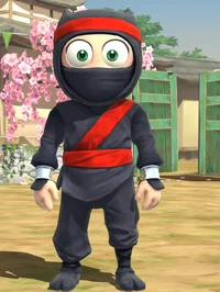 Ninja guy