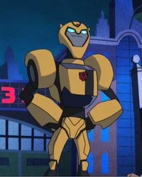 Bumblebee TFA