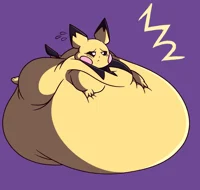 pichu gordito