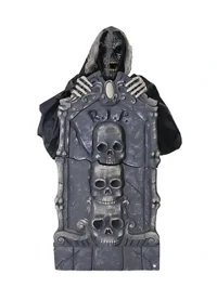 Guardian of the Grav