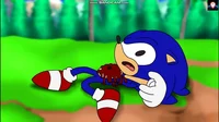 Shot Sonic 