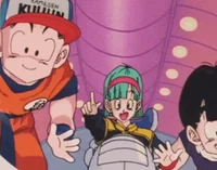 Bulma n Namek Z Team