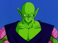 Piccolo Abridged