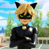 Cat noir
