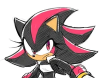 Shana the Hedgehog