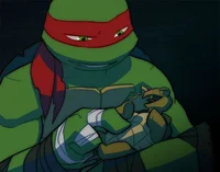 2012 Raphael
