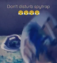 Dont Disturb Spytrap
