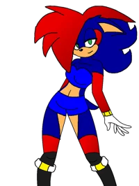Shadica The Hedgehog