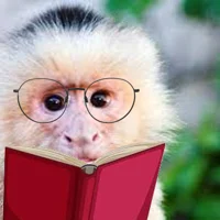 book worm monkey