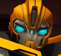 Bumblebee TFP
