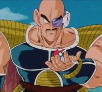TFS Nappa