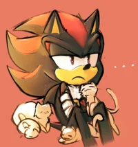 Shadow The Hedgehog 
