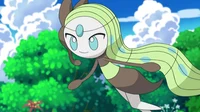 Mellow the meloetta