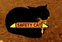 Evil Safety Cat