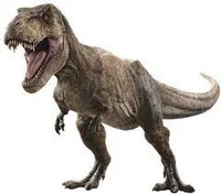 T-rex
