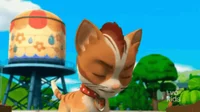 Wild Cat