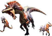 Great jaggi