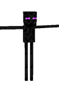 Enderman