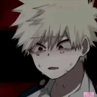 Abused Bakugo