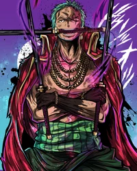 Roronoa Zoro -Future