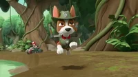 Tracker