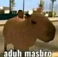 Capybara Masbro