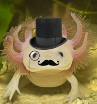 Talking Axolotl