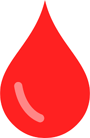 Blood