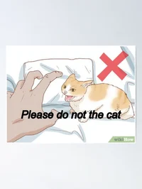 Please dont the cat