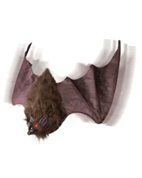 Screeching Bat