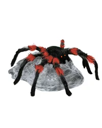 Black and Red Jumpin