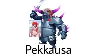 Pekkausa