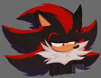 Shadow the Hedgehog-