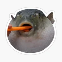 Carrot Pufferfish