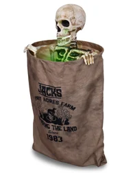 Bag O Bones