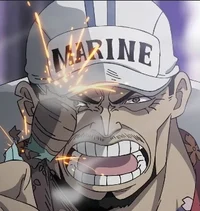 Akainu