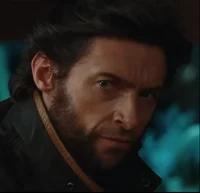 Wolverine 