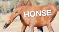 Honse