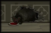 Rattus Piconicus