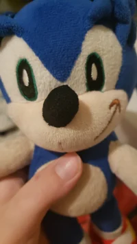 Sonic
