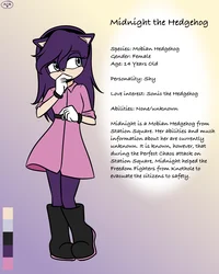 Midnight the hedgeho