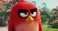 Red from Angry Birds