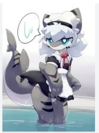 Maid Shark