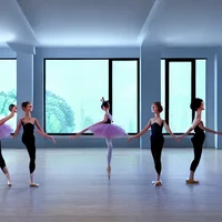 bellas ballet class