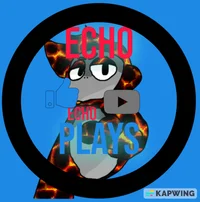 Echo