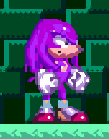 Magenta Knuckles