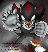 Werehog Shadow
