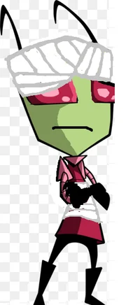 hurt Zim