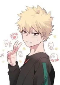 Soft bakugo